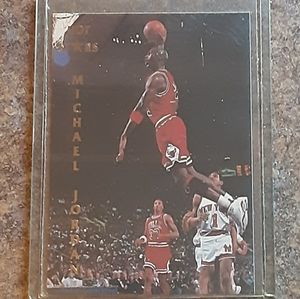 Michael Jordan Collectible Sports Memorabilia Coll